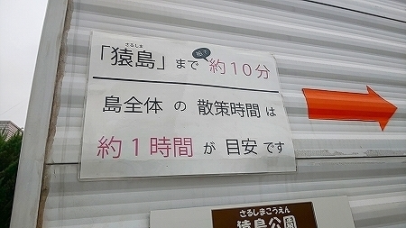 20180829_081824485.jpg