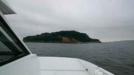 20180829_083702581.jpg