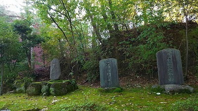 57007.jpg