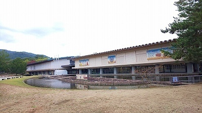 57035.jpg