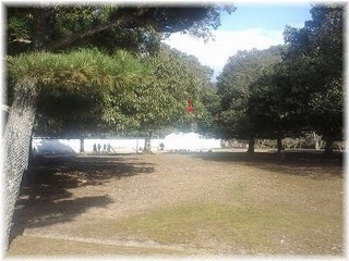 CA3J0002.jpg