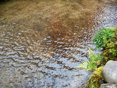 DSCF1057.jpg