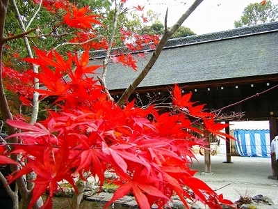 DSCF1060.jpg