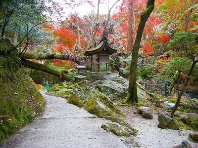 DSCF1067.jpg