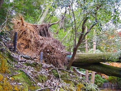 DSCF1068.jpg