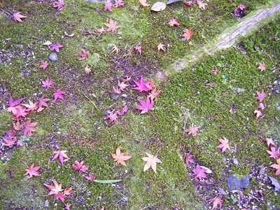 DSCF1103.jpg