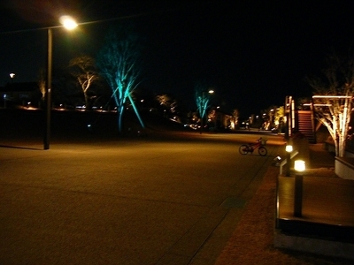 DSCF1125.jpg