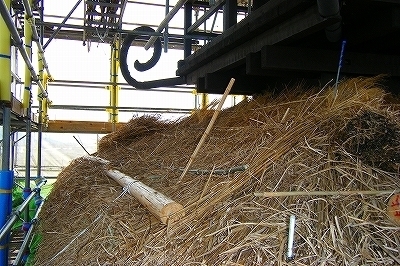 DSCF1347.jpg