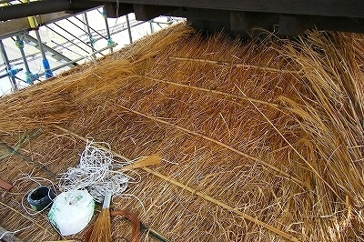 DSCF1354.jpg