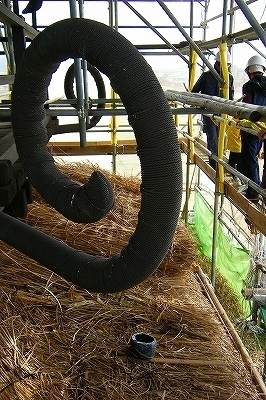 DSCF1355.jpg