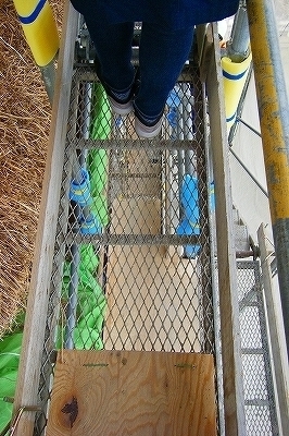 DSCF1376.jpg