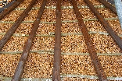 DSCF1383.jpg