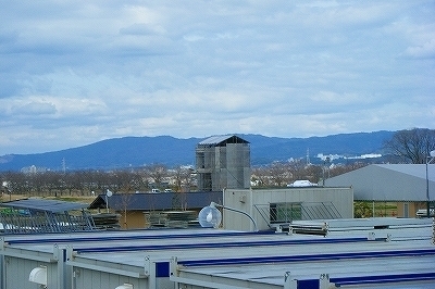 DSCF1422.jpg