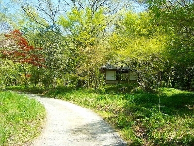 DSCF5120.jpg