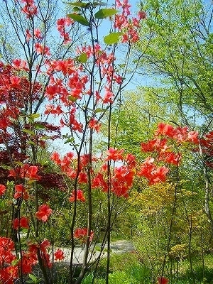 DSCF5122.jpg