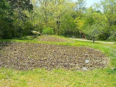 DSCF5123.jpg