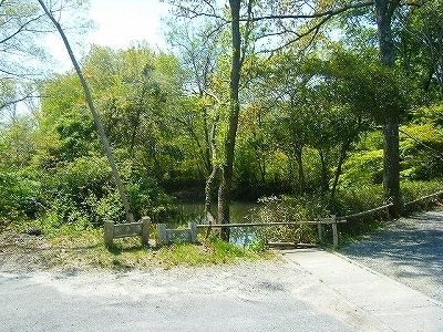 DSCF5124.jpg