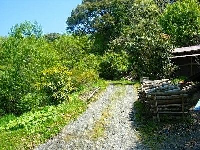 DSCF5126.jpg