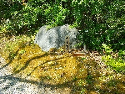 DSCF5138.jpg