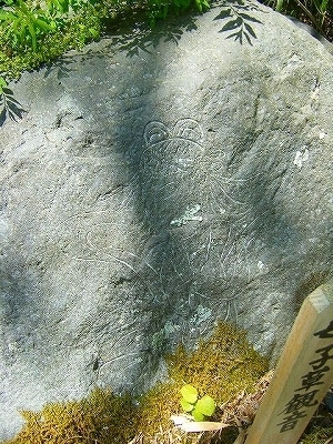 DSCF5139.jpg