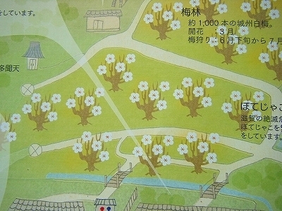 DSCF5150.jpg