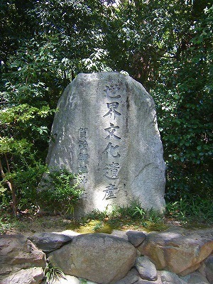 DSCF7156.jpg