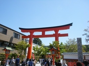 DSCF8031.jpg