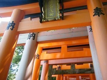 DSCF8042.jpg