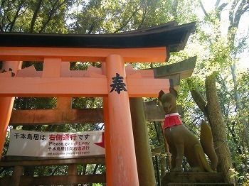 DSCF8049.jpg