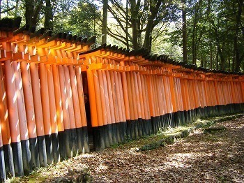DSCF8054.jpg