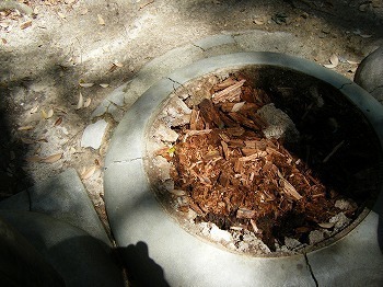 DSCF8069.jpg