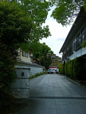 DSCF9374.jpg