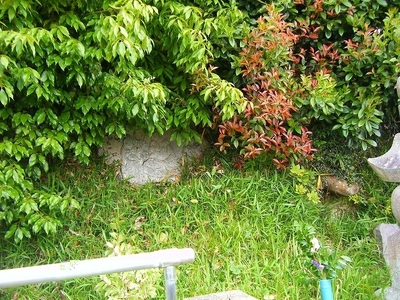 DSCF9389.jpg