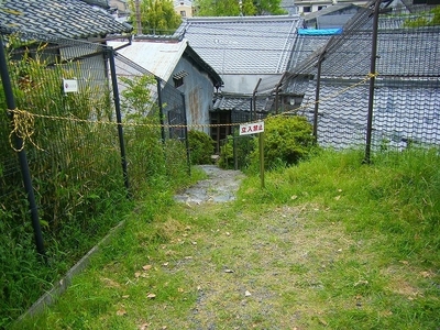 DSCF9391.jpg