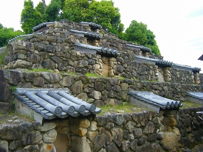 DSCF9399.jpg