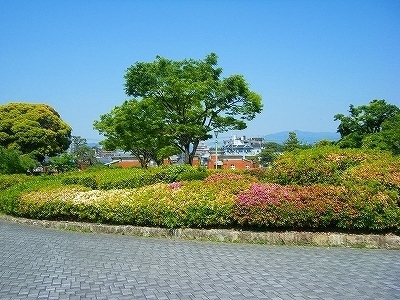 DSCF9402.jpg