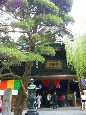 DSCF9524.jpg