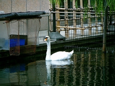 DSCF9540.jpg