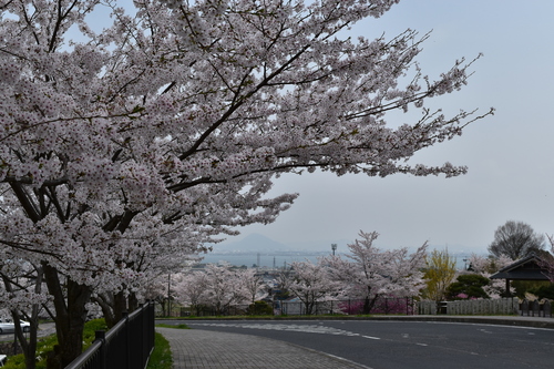 DSC_0003.JPG