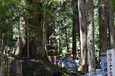 DSC_0004.jpg