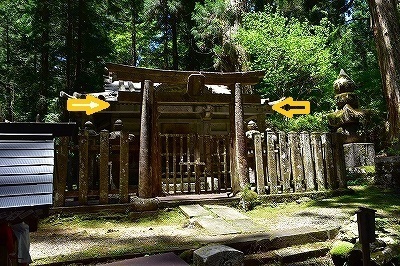 DSC_0008.jpg