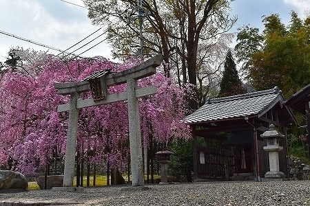 DSC_0010.jpg
