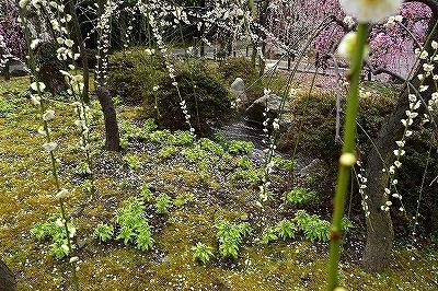 DSC_0040.jpg