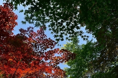 DSC_0148.jpg