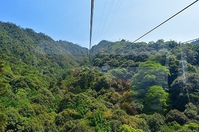 DSC_0163.jpg