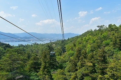 DSC_0166.jpg