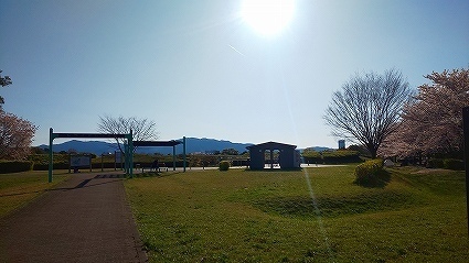DSC_6662.jpg
