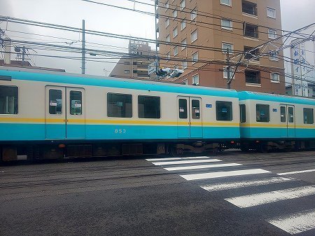 DSC_7228.jpg