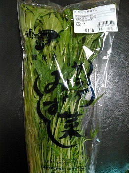 あおばな館⑩ サラダ水菜100込.jpg