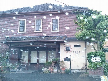 つくひこ③.jpg